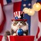 4th of July Hanging Decorations Independence Day Ball Cat Ornaments USA 250th Anniversary Patriotic Tree Decor Acrylic Red Blue White Ornaments for Memorial Day Party 8 Pcs